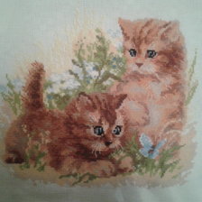 Работа «№41587»