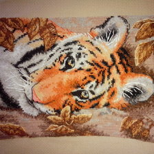 Работа «№41859»