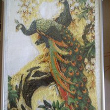 Работа «павлины №651340»