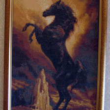 Работа «Чёрный жеребец - Black Stallion»