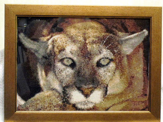 Работа «Горная львица»