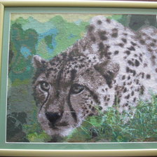 Работа «Гепард на охоте»