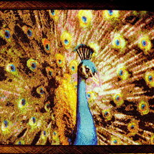 Работа «Павлин.»