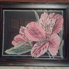 Работа «Альстромерия»