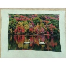 Работа «Хэмпшир. Англия»