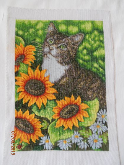 Работа «Кот в подсолнухах»