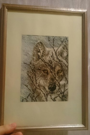 Работа «Волк от dimensions»