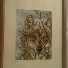 Работа «Волк от dimensions»