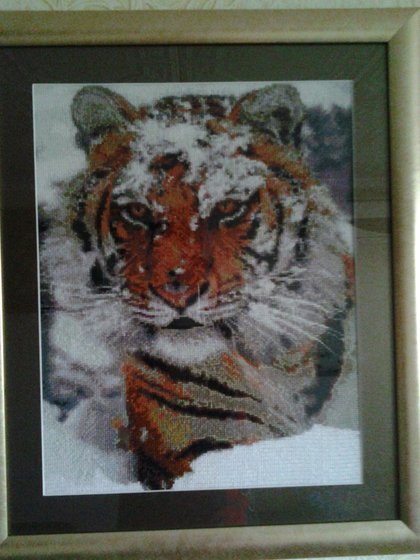 Работа «Тигр.»