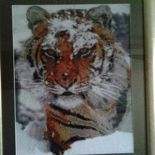 Работа «Тигр.»