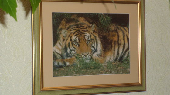 Работа «Тигр.»