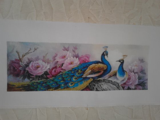 Работа «№43057»