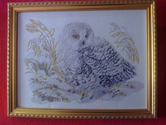 Работа «белая сова»