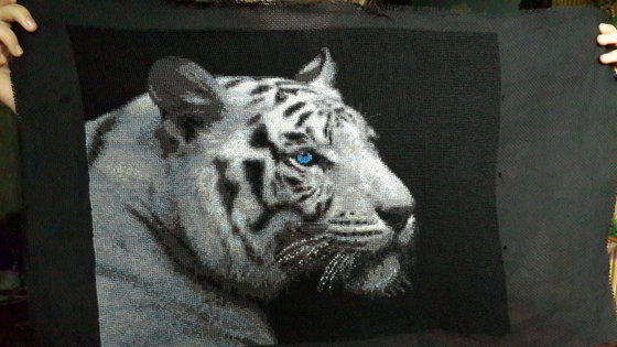 Работа «Белый тигр.»