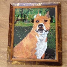 Работа «Моя любимая Капа»