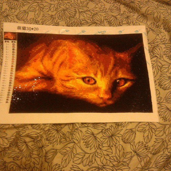 Работа «Рыжий кот»