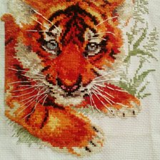 Работа «Тигренок»