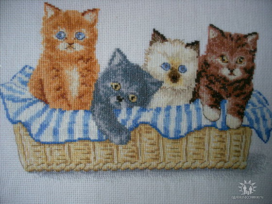 Работа «Котята в корзинке.»
