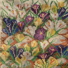 Работа «Кокусы»