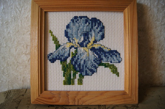 Работа «Ирис»