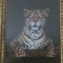 Работа «Ночной охотник»