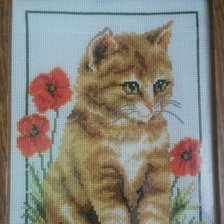 Работа «Котенок с маками»