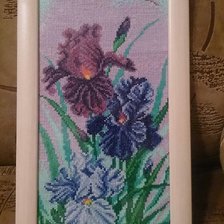 Работа «Прекрасные ирисы»