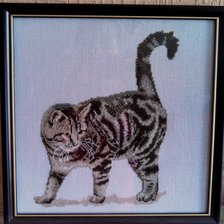 Работа «Котярик»