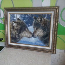 Работа «волки оформленные»