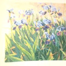 Работа «ирисы»