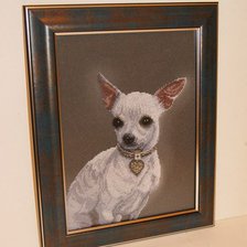 Работа «Чихуахуа от Краса и Творчество»