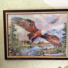 Работа «Риолис Свободный полет»