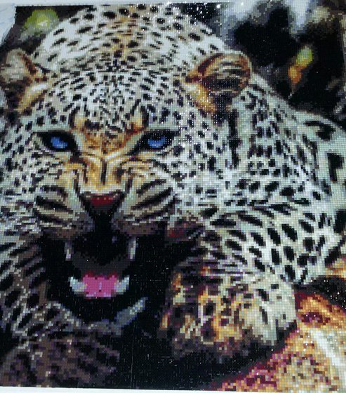 Работа «леопард»