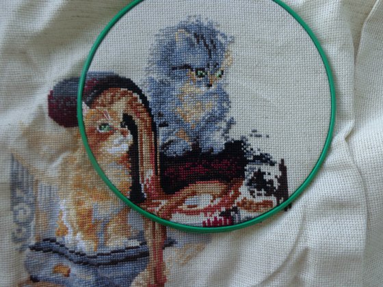 Работа «кошачье семейство в процессе»