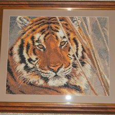 Работа «Тигр»