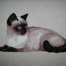 Работа «Тайская кошка»