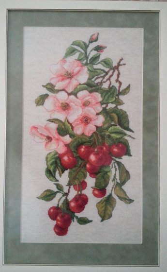 Работа «Вишневое  цветочно- ягодное великолепие.»