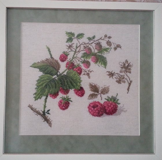 Работа «Малина- сладка ягода.»