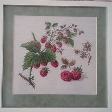 Работа «Малина- сладка ягода.»