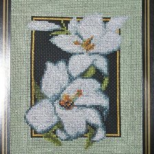 Работа «лилии на чёрном»