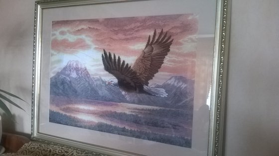 Работа «Безмолвный полет»