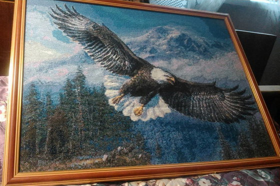 Работа «№46642»