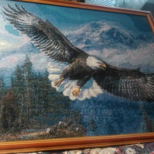 Работа «№46642»