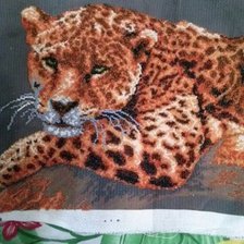 Работа «Леопард»