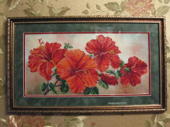 Работа «Гибискус или китайская роза.»