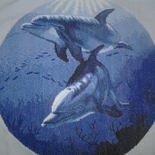 Работа «дельфины»