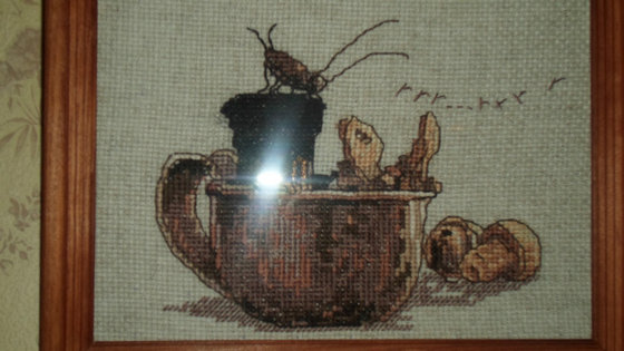 Работа «nimue»