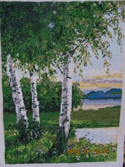 Работа «№47017»