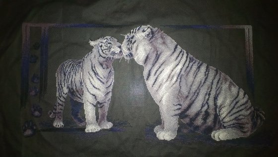 Работа «Тигриная любовь»