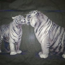 Работа «Тигриная любовь»